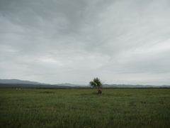 -敕勒川草原文化旅游区