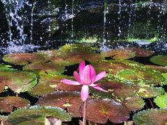 -国家植物园南园