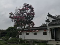 -武汉紫薇都市田园