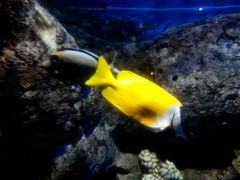 -福州罗源湾海洋世界旅游区