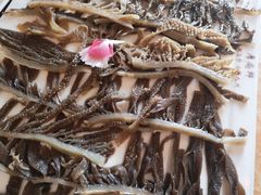 -鼎尚鲜斑鱼莊(新天润店)