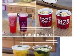 -1828王老吉·草本新茶(珠江新城地铁站店)