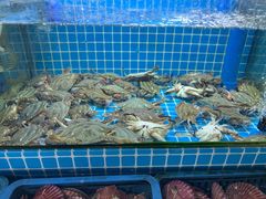 -老东镇啤酒屋海鲜加工·蒸汽海鲜·海鲜烧烤(台东店)