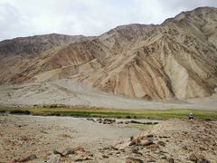 -新疆天山野生动物园