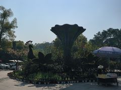 -南山植物园