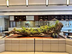 -桃源咖啡厅(武夷山大红袍山庄店)