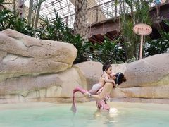 -杭州开元森泊度假乐园