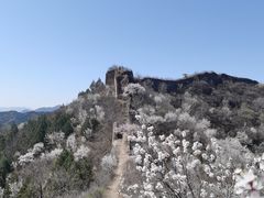 -蟠龙山长城景区