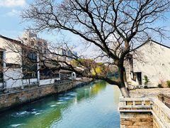 -青果巷历史文化街区