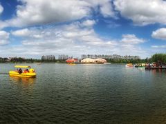 -上海长兴岛郊野公园