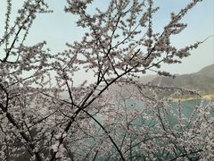 -易水湖景区