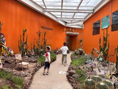 -正佳雨林生态植物园