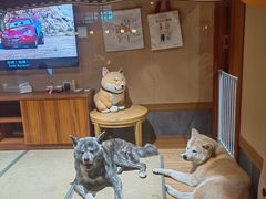 -大江户·温泉洗浴(浑南店)