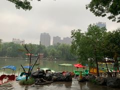 -西苑公园