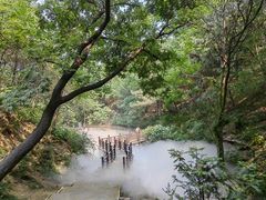 -北京西山国家森林公园