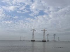 -宝安西湾红树林湿地公园