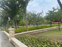 -新江湾城公园