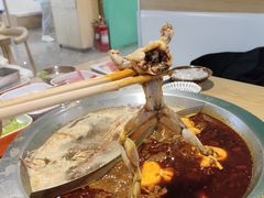 -铭记蛙小仙·活蛙畅享(CBD万达广场店)