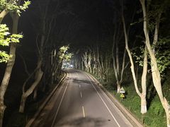 -紫金山天文台
