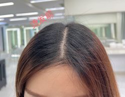 -FANPU·设计