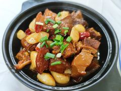 毛氏红烧肉-新新湘菜馆(新中街二条店)
