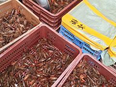 -江汉区姑嫂树菜市场