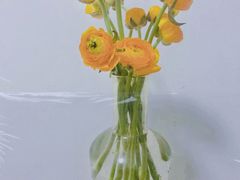 -循礼门鲜花花市(武汉循礼门店)