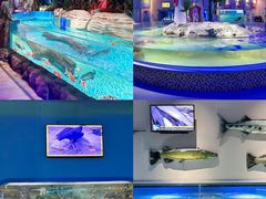 -绿色星球动物主题公园