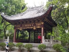 -汇龙潭