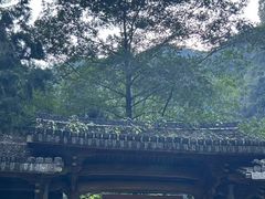 -刘伯温故里景区百丈漈
