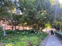 -厦门大学(思明校区)