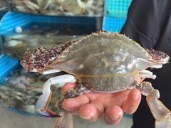 -蓝珊海鲜澳洲和牛自助餐厅