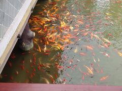 -龙潭水乡
