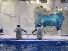 -华夏文旅海洋公园