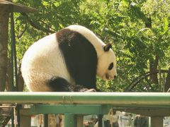-天津市动物园