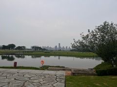 -洋湖国家湿地公园