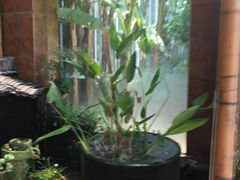 -金稼园·金平湖农家菜
