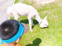 -太阳岛度假酒店