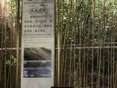 -天目湖御水温泉·度假酒店