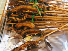 鳝鱼-晓靖轩烧烤(沙河风情店)