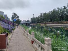 -玲珑塔公园