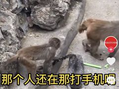 -云南野生动物园