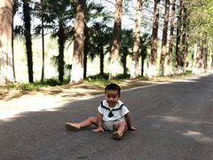 -黄海国家森林公园