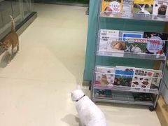 -雨林宠物医院 非犬猫异宠专科