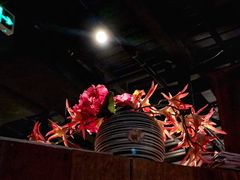 -杂咖zacup(领展中心城店)