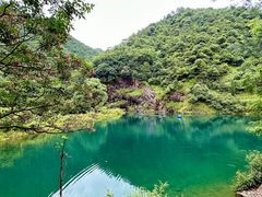 -大奇山国家森林公园