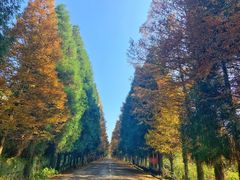 -山王坪喀斯特国家生态公园