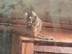 -上海昆虫博物馆