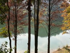 -水濂山森林公园