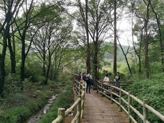 -木兰云雾山